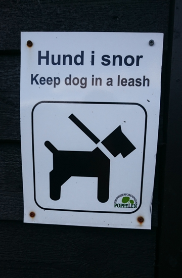 Hund i snor