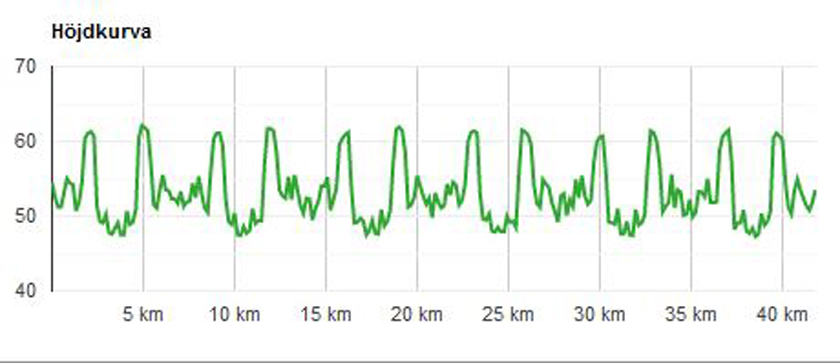 Mariestad Marathon