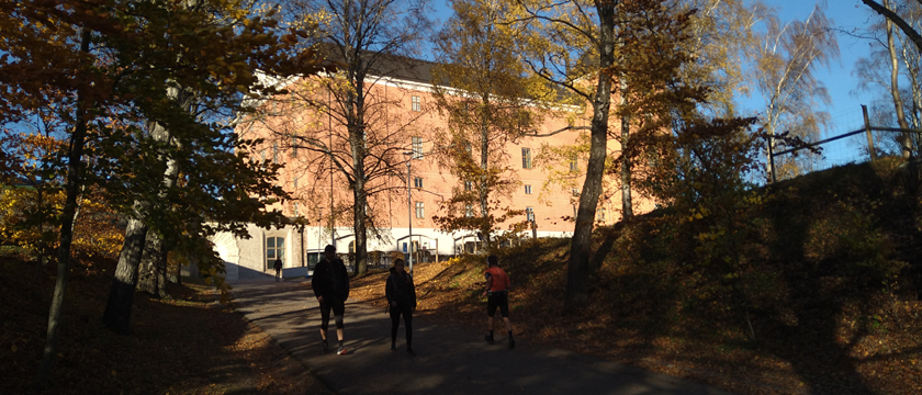 Uppsala Marathon