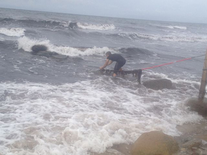 Coasteering 2012 2